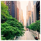 Environmental advisory