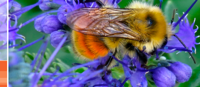 enviroment-img_690x300