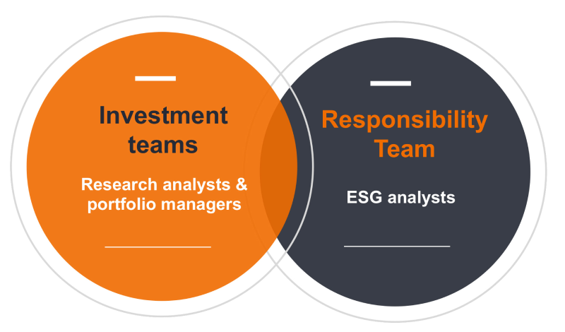 venn-diagram_800x470